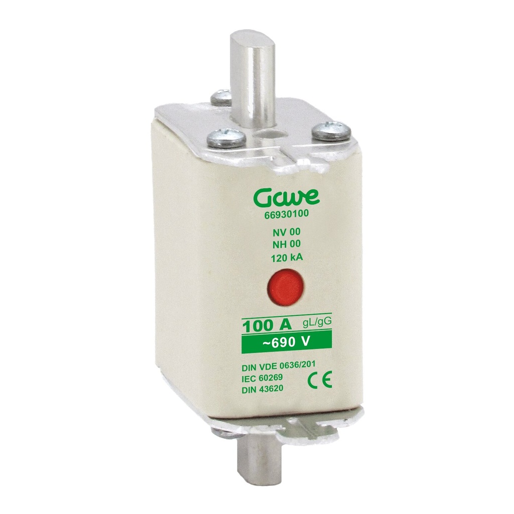 FUSIBLE NH IND.FUSION 100A.AM T000