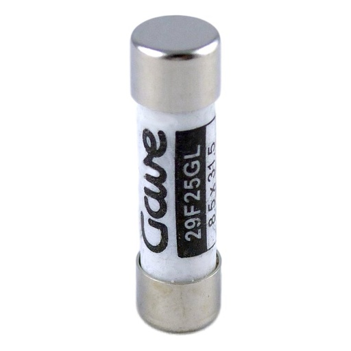 [29F25GL] FUSIBLE CILINDRICO  25A. GG T00
