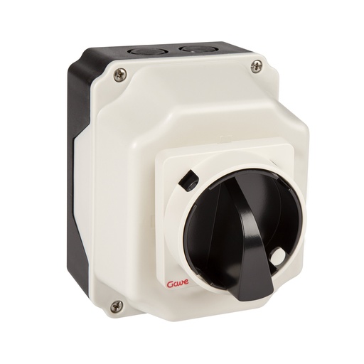 [AC5533107] INTERRUPTOR 4P.32A. EN CAJA IP65